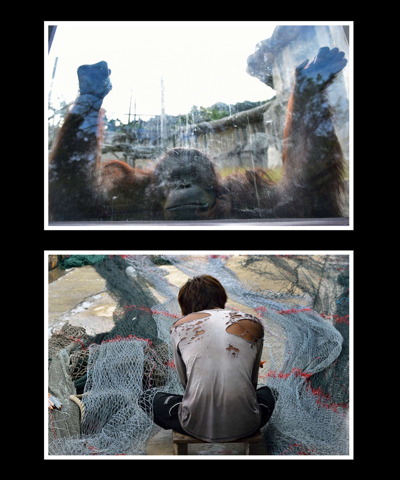 [沉默之聲] 賴昭旭