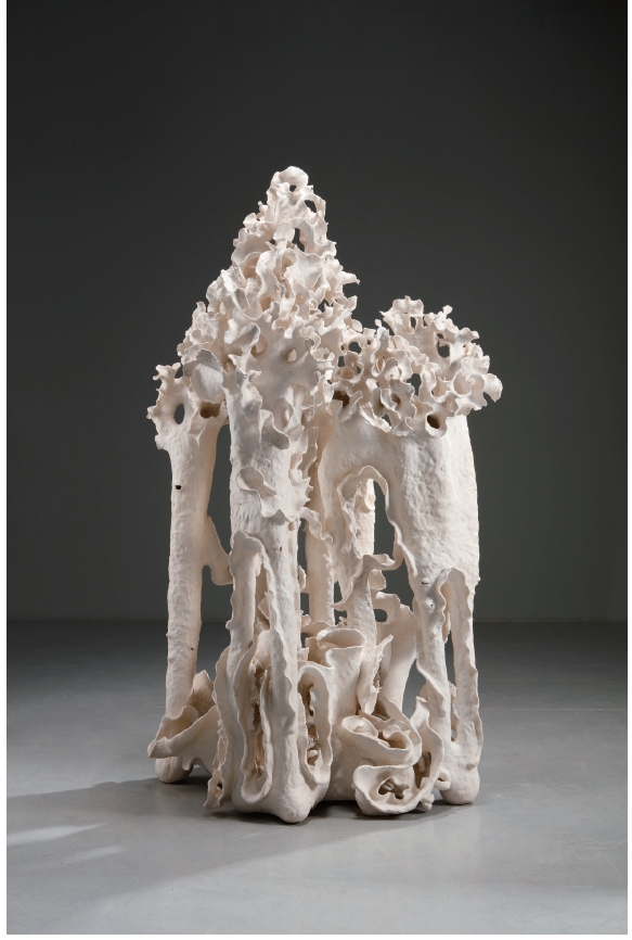 [探勘叢林裡的皺褶-1] 林秀娘