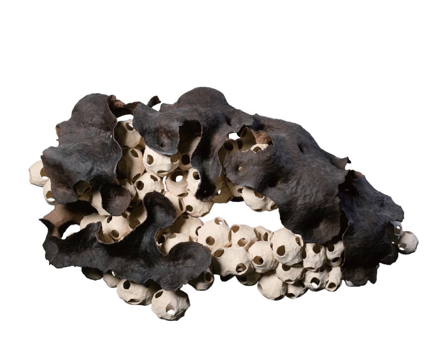 [群體的形狀] 梁佑華