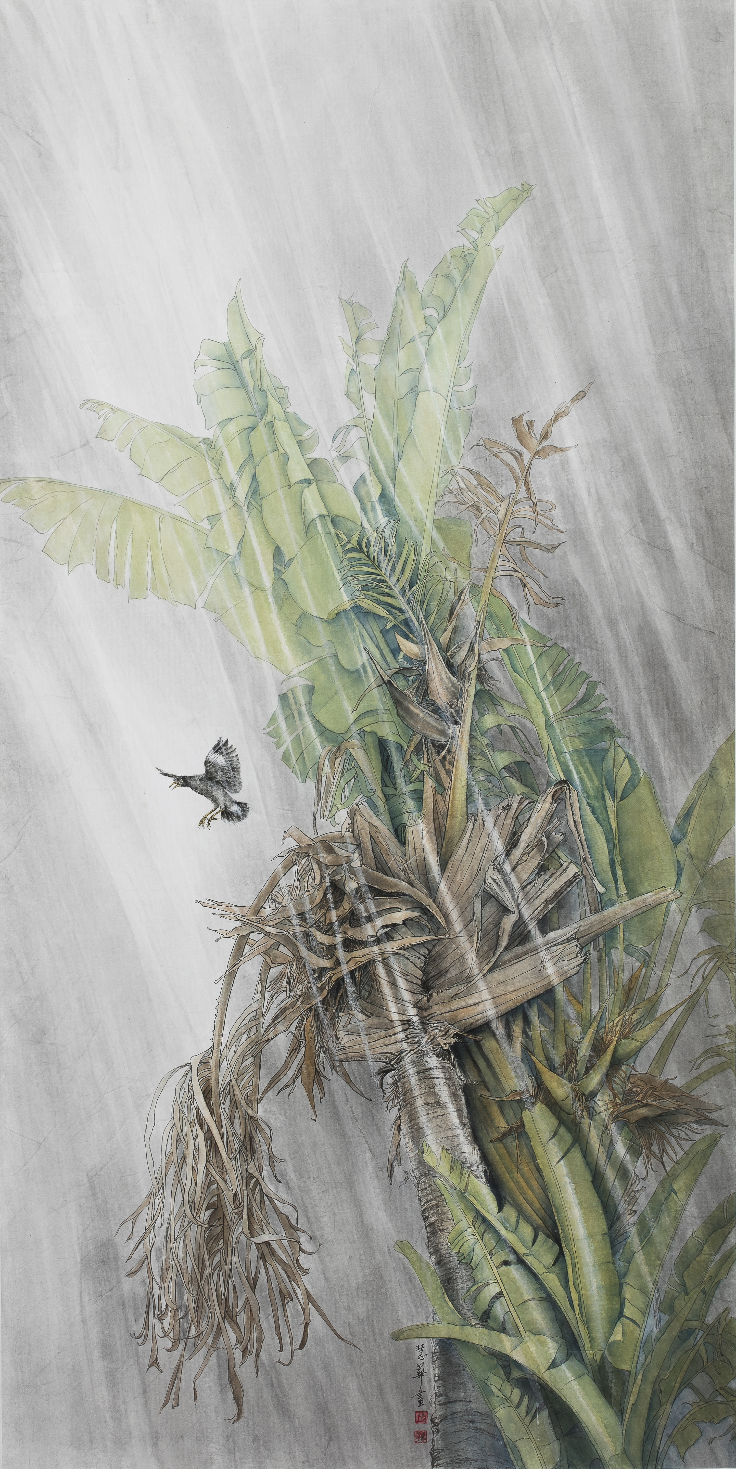 [不懈的心繫懸念] 楊慧華